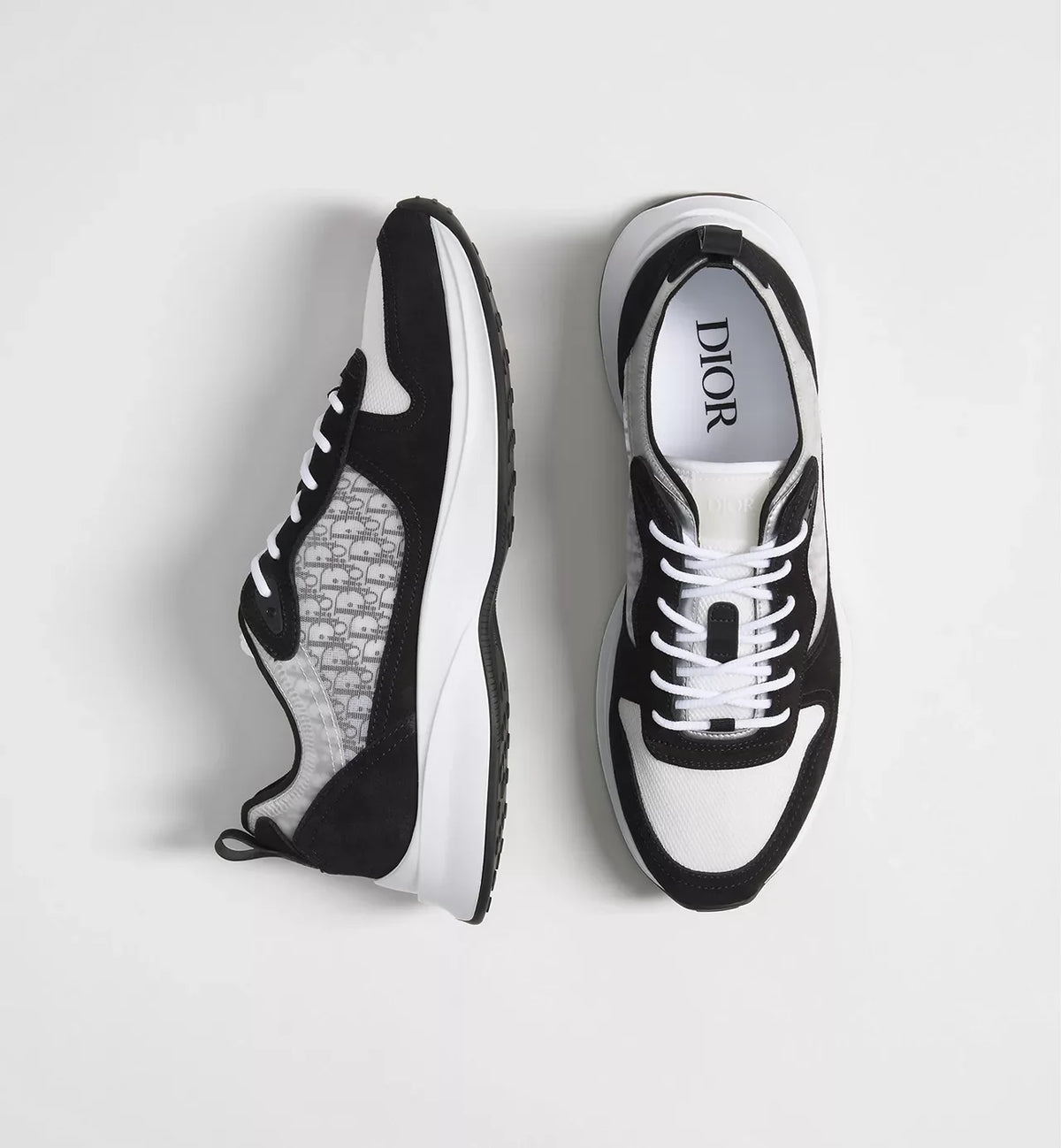 Dior B25