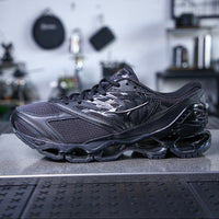 Mizuno Wave Prophecy