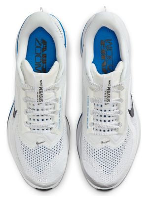 Nike Pegasus